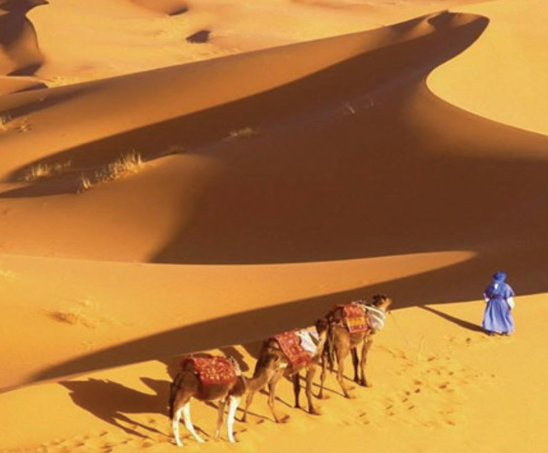 Sino-Moroccan Bilateral Relations: Tapping into China’s Emerging Tourist Market