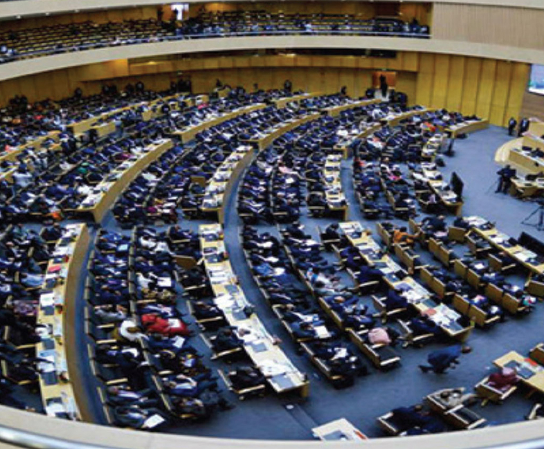 Aligning Democratic Peace to Diplomacy: Kenya’s Campaign for UN Security Council Seat